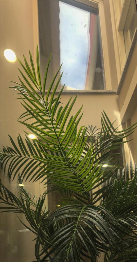 ויאנה דו קסטלו Rua Grande Hotel מראה חיצוני תמונה
